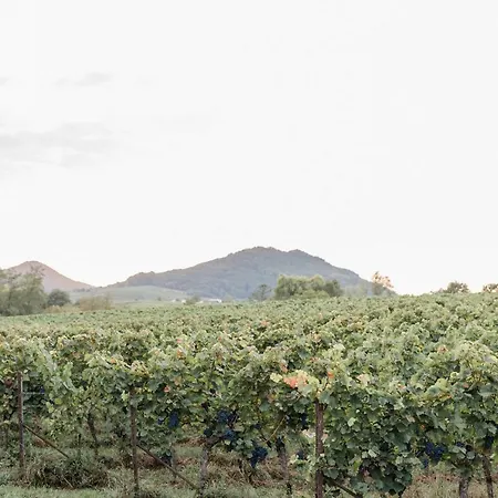 Brehm Living Lejlighed Kandel