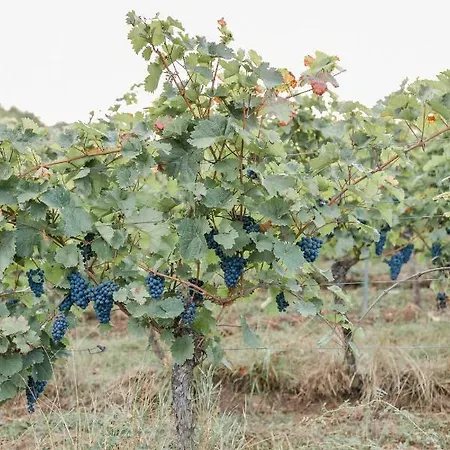 Brehm Living Lejlighed Kandel