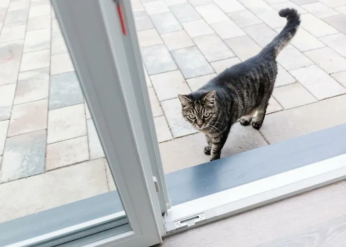 Brehm Living * カンデル