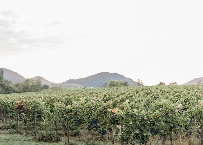 Brehm Living アパート カンデル