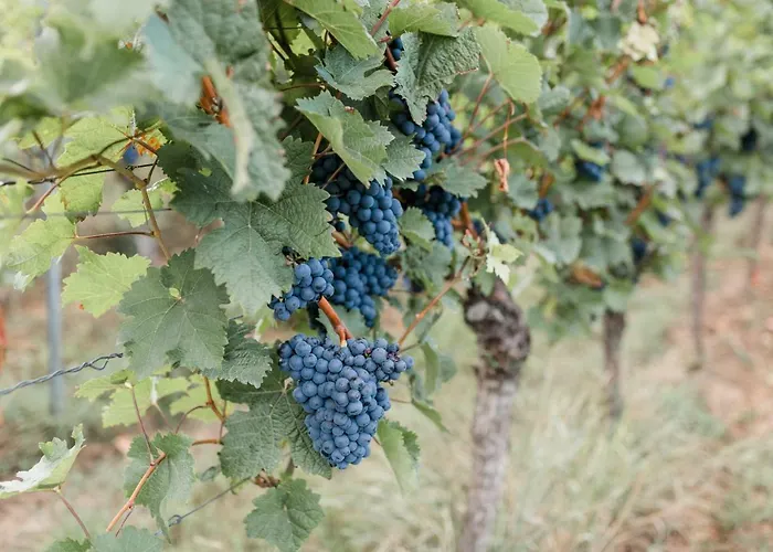 Brehm Living Apartamento