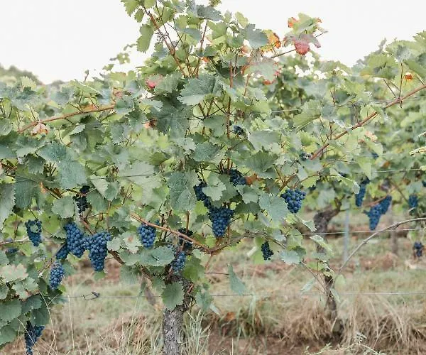 Brehm Living Apartamento Kandel